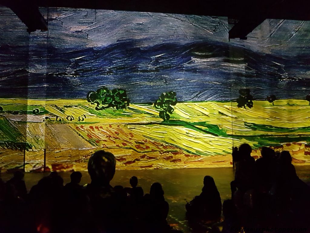 Arles, Paris, Saint-Rémy-de-Provence, on voyage avec les tableaux de Van Gogh.